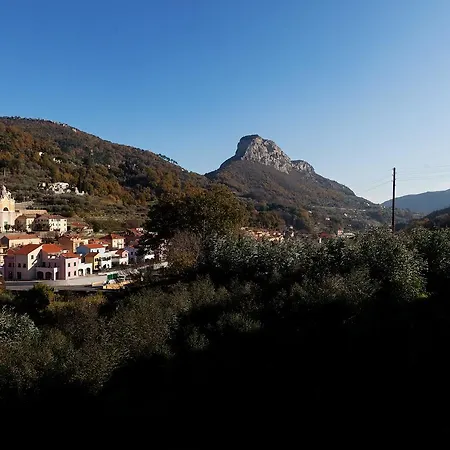 Piemontese